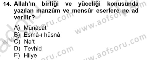 Türk İslam Edebiyatı Dersi 2013 - 2014 Yılı Tek Ders Sınav Soruları 14. Soru