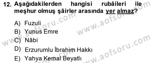 Türk İslam Edebiyatı Dersi 2014 - 2015 Yılı (Vize) Ara Sınav Soruları 12. Soru