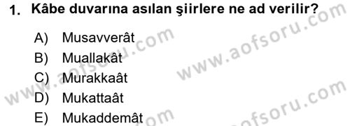 Türk İslam Edebiyatı Dersi 2015 - 2016 Yılı (Vize) Ara Sınav Soruları 1. Soru