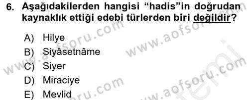 Türk İslam Edebiyatı Dersi 2015 - 2016 Yılı (Vize) Ara Sınav Soruları 6. Soru