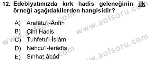 Türk İslam Edebiyatı Dersi 2015 - 2016 Yılı (Final) Dönem Sonu Sınav Soruları 12. Soru