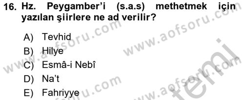 Türk İslam Edebiyatı Dersi 2016 - 2017 Yılı 3 Ders Sınav Soruları 16. Soru