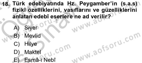 Türk İslam Edebiyatı Dersi 2016 - 2017 Yılı 3 Ders Sınav Soruları 18. Soru
