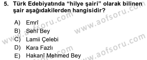 Türk İslam Edebiyatı Dersi 2016 - 2017 Yılı 3 Ders Sınav Soruları 5. Soru