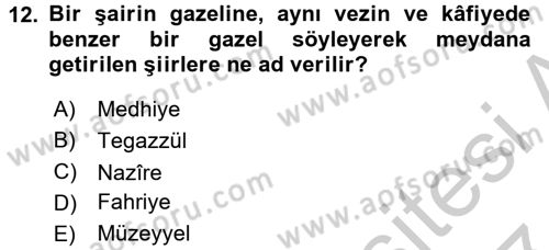 Türk İslam Edebiyatı Dersi 2016 - 2017 Yılı (Vize) Ara Sınav Soruları 12. Soru