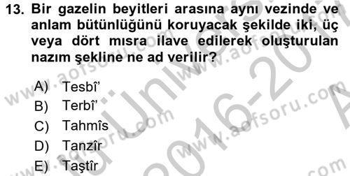Türk İslam Edebiyatı Dersi 2016 - 2017 Yılı (Vize) Ara Sınav Soruları 13. Soru