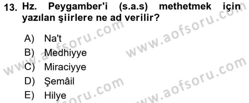 Türk İslam Edebiyatı Dersi 2016 - 2017 Yılı (Final) Dönem Sonu Sınav Soruları 13. Soru