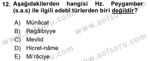 Türk İslam Edebiyatı Dersi 2017 - 2018 Yılı 3 Ders Sınav Soruları 12. Soru