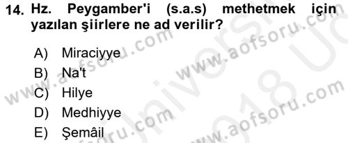 Türk İslam Edebiyatı Dersi 2017 - 2018 Yılı 3 Ders Sınav Soruları 14. Soru