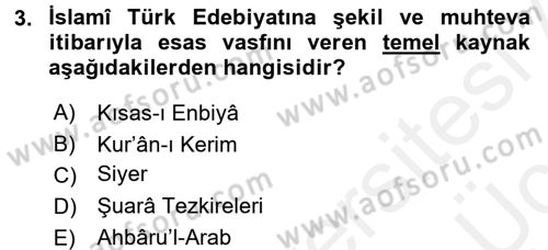 Türk İslam Edebiyatı Dersi 2017 - 2018 Yılı 3 Ders Sınav Soruları 3. Soru
