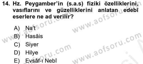 Türk İslam Edebiyatı Dersi 2017 - 2018 Yılı (Final) Dönem Sonu Sınav Soruları 14. Soru