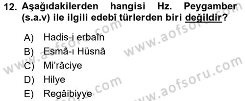Türk İslam Edebiyatı Dersi 2018 - 2019 Yılı (Final) Dönem Sonu Sınav Soruları 12. Soru