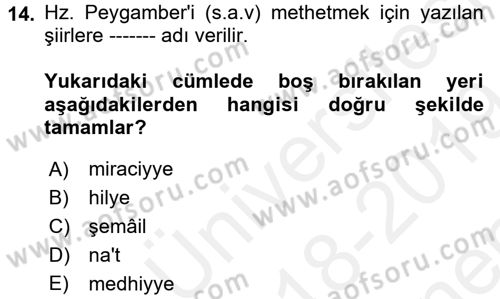 Türk İslam Edebiyatı Dersi 2018 - 2019 Yılı (Final) Dönem Sonu Sınav Soruları 14. Soru