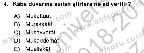 Türk İslam Edebiyatı Dersi 2018 - 2019 Yılı Yaz Okulu Sınav Soruları 4. Soru