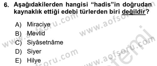 Türk İslam Edebiyatı Dersi 2021 - 2022 Yılı (Vize) Ara Sınav Soruları 6. Soru