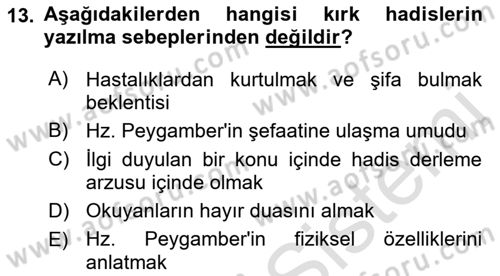 Türk İslam Edebiyatı Dersi 2021 - 2022 Yılı (Final) Dönem Sonu Sınav Soruları 13. Soru