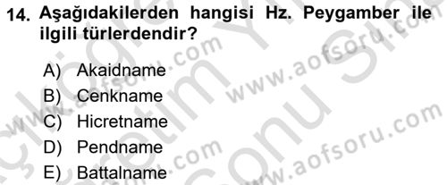 Türk İslam Edebiyatı Dersi 2021 - 2022 Yılı (Final) Dönem Sonu Sınav Soruları 14. Soru
