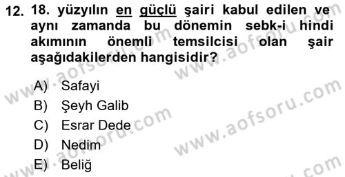 Türk İslam Edebiyatı Dersi 2021 - 2022 Yılı Yaz Okulu Sınav Soruları 12. Soru