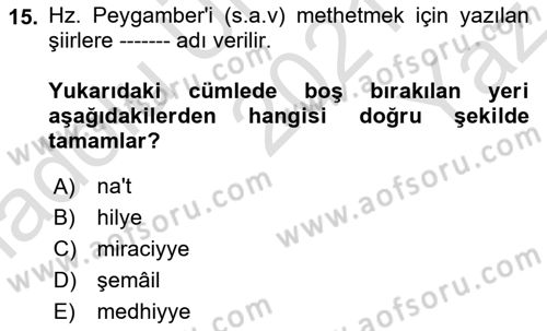 Türk İslam Edebiyatı Dersi 2021 - 2022 Yılı Yaz Okulu Sınav Soruları 15. Soru