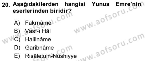 Türk İslam Edebiyatı Dersi 2021 - 2022 Yılı Yaz Okulu Sınav Soruları 20. Soru