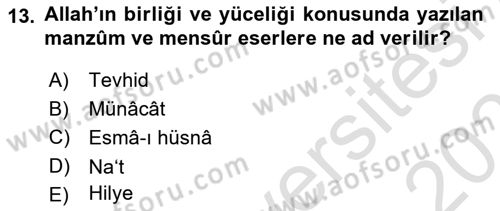 Türk İslam Edebiyatı Dersi 2022 - 2023 Yılı Yaz Okulu Sınav Soruları 13. Soru