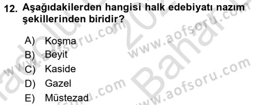 Türk İslam Edebiyatı Dersi 2023 - 2024 Yılı (Vize) Ara Sınav Soruları 12. Soru