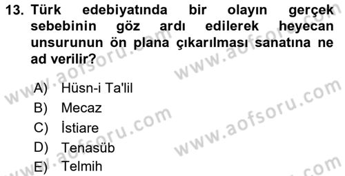 Türk İslam Edebiyatı Dersi 2023 - 2024 Yılı (Vize) Ara Sınav Soruları 13. Soru