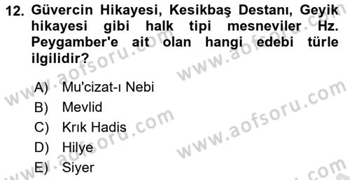 Türk İslam Edebiyatı Dersi 2023 - 2024 Yılı (Final) Dönem Sonu Sınav Soruları 12. Soru