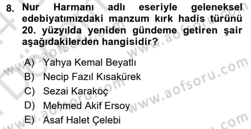 Türk İslam Edebiyatı Dersi 2023 - 2024 Yılı (Final) Dönem Sonu Sınav Soruları 8. Soru