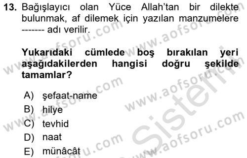 Türk İslam Edebiyatı Dersi 2023 - 2024 Yılı Yaz Okulu Sınav Soruları 13. Soru