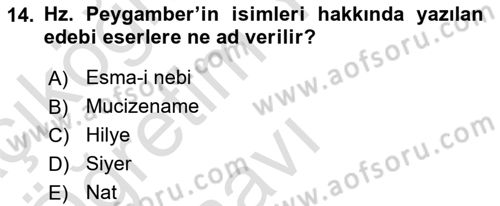 Türk İslam Edebiyatı Dersi 2023 - 2024 Yılı Yaz Okulu Sınav Soruları 14. Soru