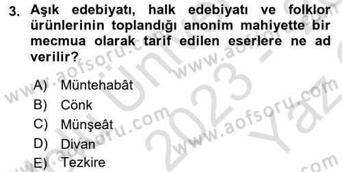 Türk İslam Edebiyatı Dersi 2023 - 2024 Yılı Yaz Okulu Sınav Soruları 3. Soru