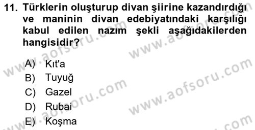 Türk İslam Edebiyatı Dersi 2024 - 2025 Yılı (Vize) Ara Sınav Soruları 11. Soru