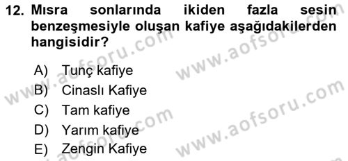 Türk İslam Edebiyatı Dersi 2024 - 2025 Yılı (Vize) Ara Sınav Soruları 12. Soru