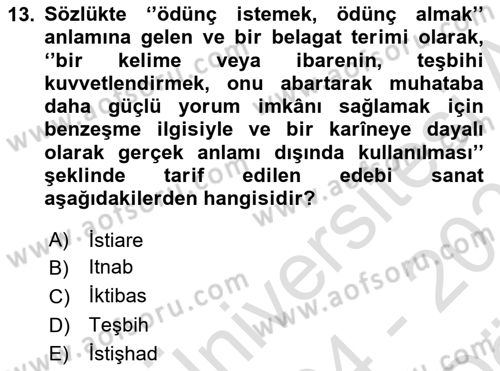 Türk İslam Edebiyatı Dersi 2024 - 2025 Yılı (Vize) Ara Sınav Soruları 13. Soru