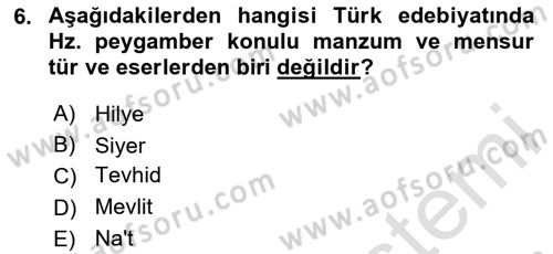 Türk İslam Edebiyatı Dersi 2024 - 2025 Yılı (Vize) Ara Sınav Soruları 6. Soru