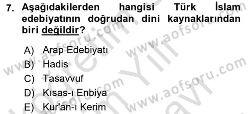 Türk İslam Edebiyatı Dersi 2024 - 2025 Yılı (Vize) Ara Sınav Soruları 7. Soru
