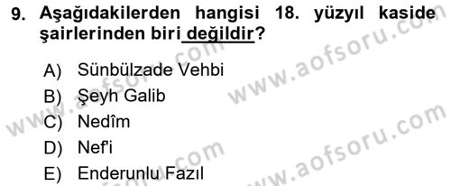 Türk İslam Edebiyatı Dersi 2024 - 2025 Yılı (Vize) Ara Sınav Soruları 9. Soru