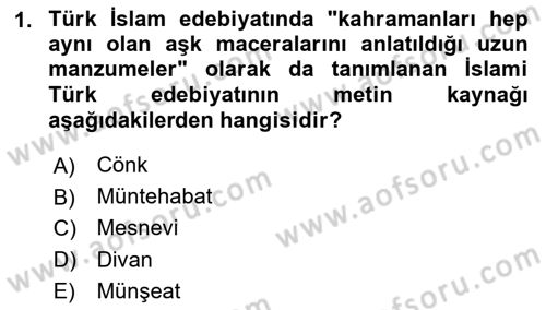 Türk İslam Edebiyatı Dersi 2024 - 2025 Yılı (Final) Dönem Sonu Sınav Soruları 1. Soru