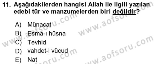 Türk İslam Edebiyatı Dersi 2024 - 2025 Yılı (Final) Dönem Sonu Sınav Soruları 11. Soru
