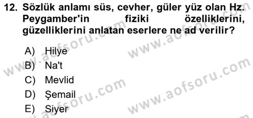 Türk İslam Edebiyatı Dersi 2024 - 2025 Yılı (Final) Dönem Sonu Sınav Soruları 12. Soru