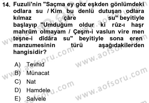 Türk İslam Edebiyatı Dersi 2024 - 2025 Yılı (Final) Dönem Sonu Sınavı 14. Soru