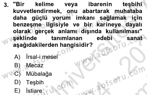 Türk İslam Edebiyatı Dersi 2024 - 2025 Yılı (Final) Dönem Sonu Sınav Soruları 3. Soru