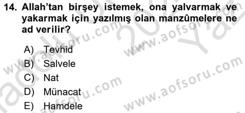 Türk İslam Edebiyatı Dersi 2024 - 2025 Yılı Yaz Okulu Sınav Soruları 14. Soru