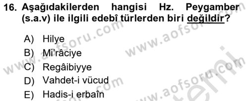 Türk İslam Edebiyatı Dersi 2024 - 2025 Yılı Yaz Okulu Sınav Soruları 16. Soru