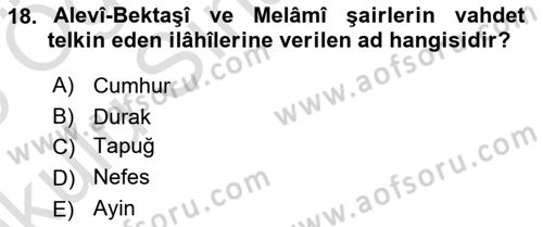 Türk İslam Edebiyatı Dersi 2024 - 2025 Yılı Yaz Okulu Sınav Soruları 18. Soru