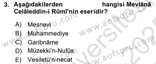 Türk İslam Edebiyatı Dersi 2024 - 2025 Yılı Yaz Okulu Sınav Soruları 3. Soru
