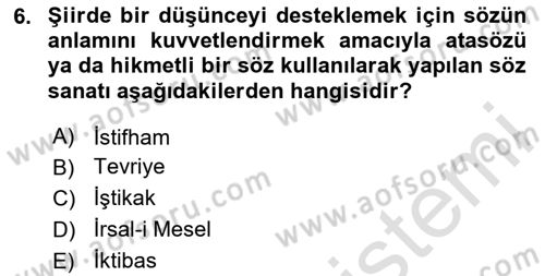 Türk İslam Edebiyatı Dersi 2024 - 2025 Yılı Yaz Okulu Sınav Soruları 6. Soru