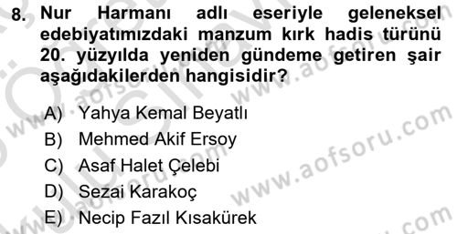 Türk İslam Edebiyatı Dersi 2024 - 2025 Yılı Yaz Okulu Sınav Soruları 8. Soru
