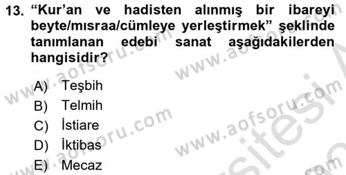 Türk İslam Edebiyatı Dersi 2025 - 2026 Yılı (Vize) Ara Sınav Soruları 13. Soru